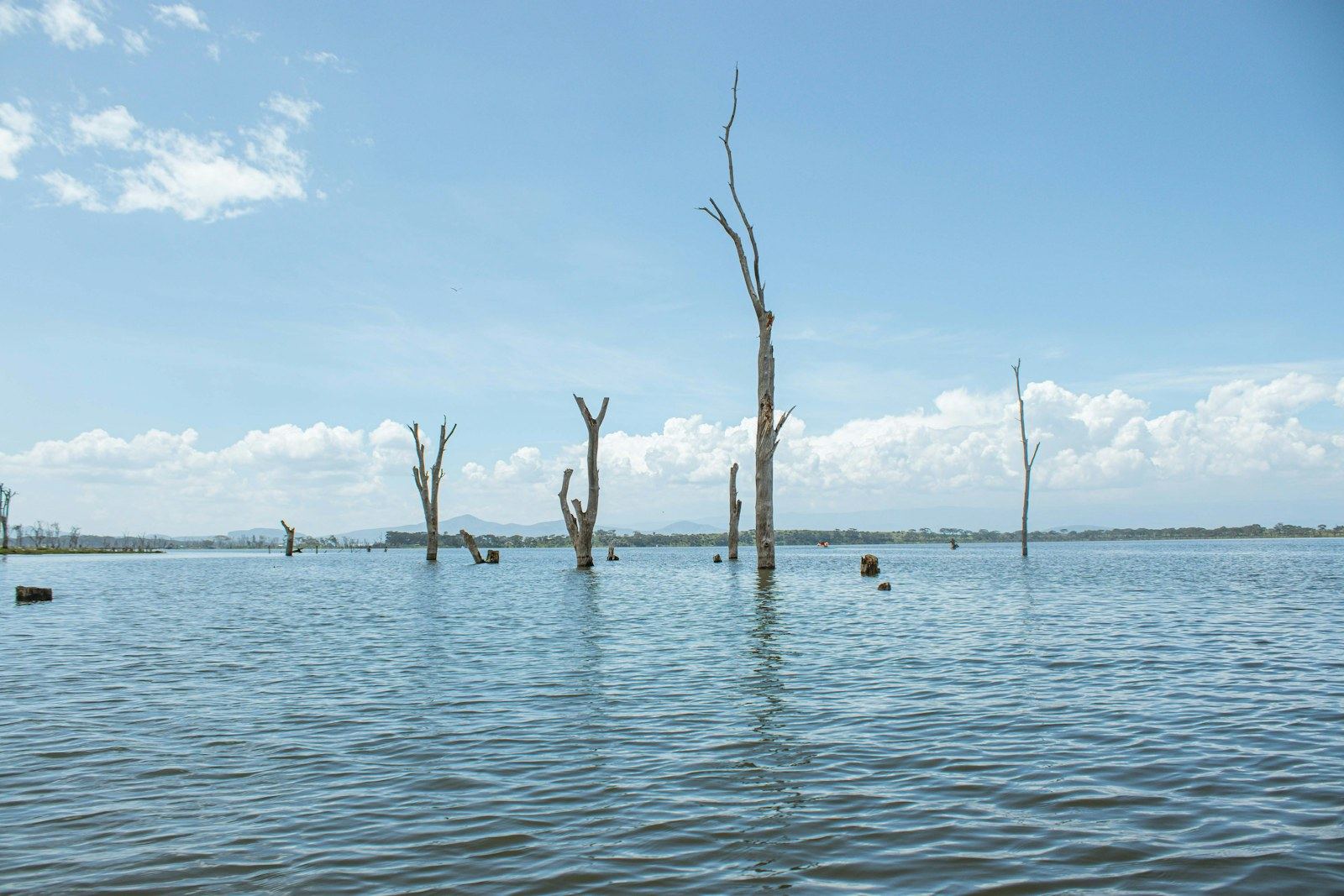 Lakeside landscape in the Great Rift Valley